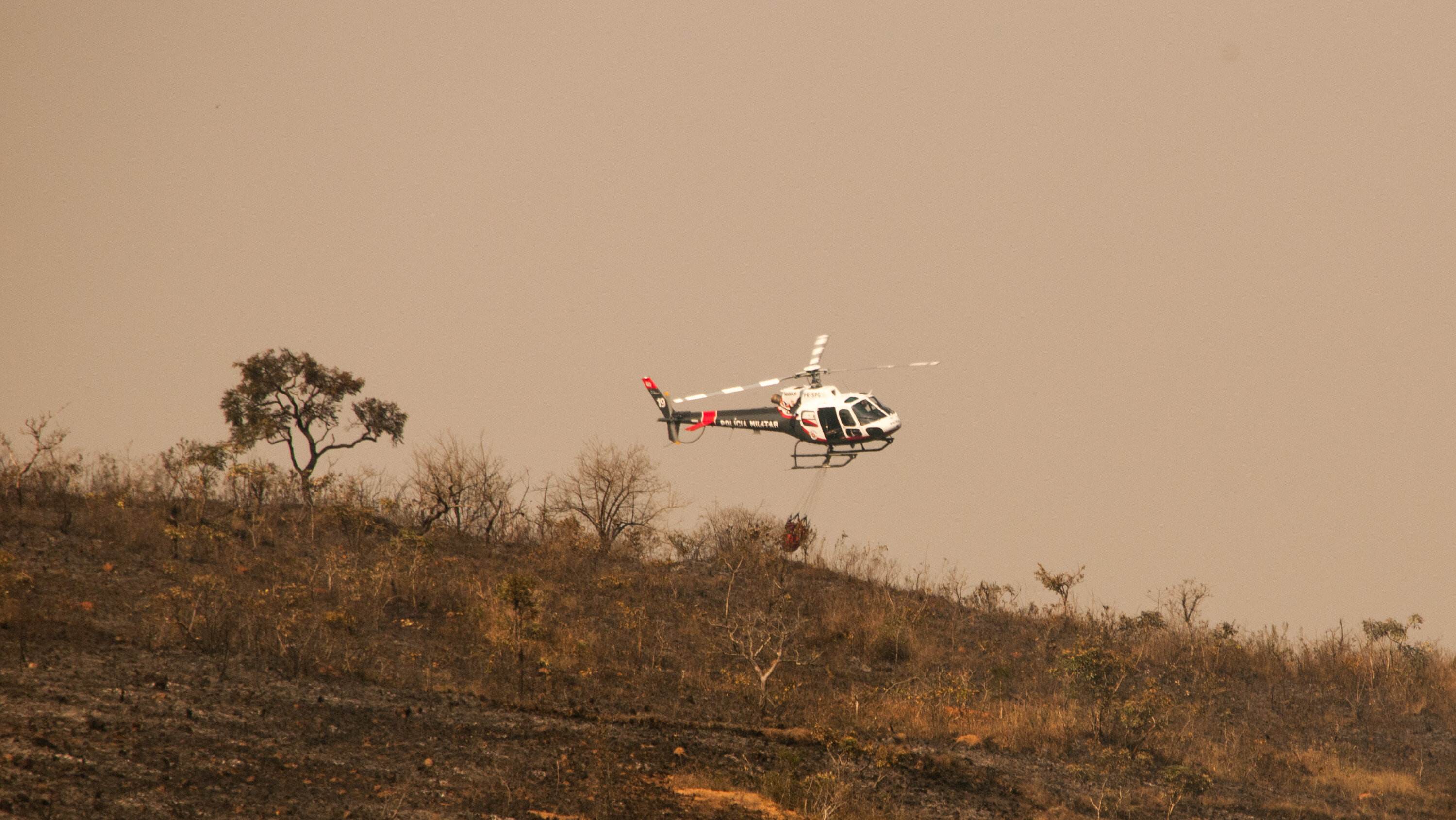 Bombeiros ainda combatem incêndio no Parque do Juquery, na Grande SP