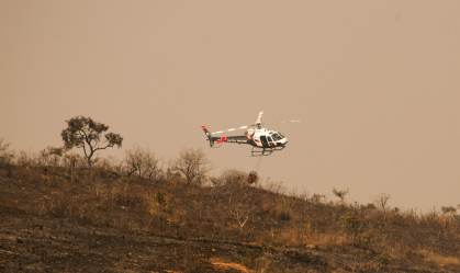 Bombeiros ainda combatem incêndio no Parque do Juquery, na Grande SP