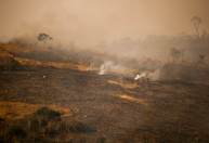 Após dano em cerca de 85% do parque, incêndio no Juquery é controlado