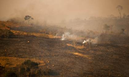 Após dano em cerca de 85% do parque, incêndio no Juquery é controlado