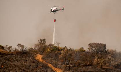 Bombeiros ainda combatem incêndio no Parque Estadual do Juquery, na Grande SP
