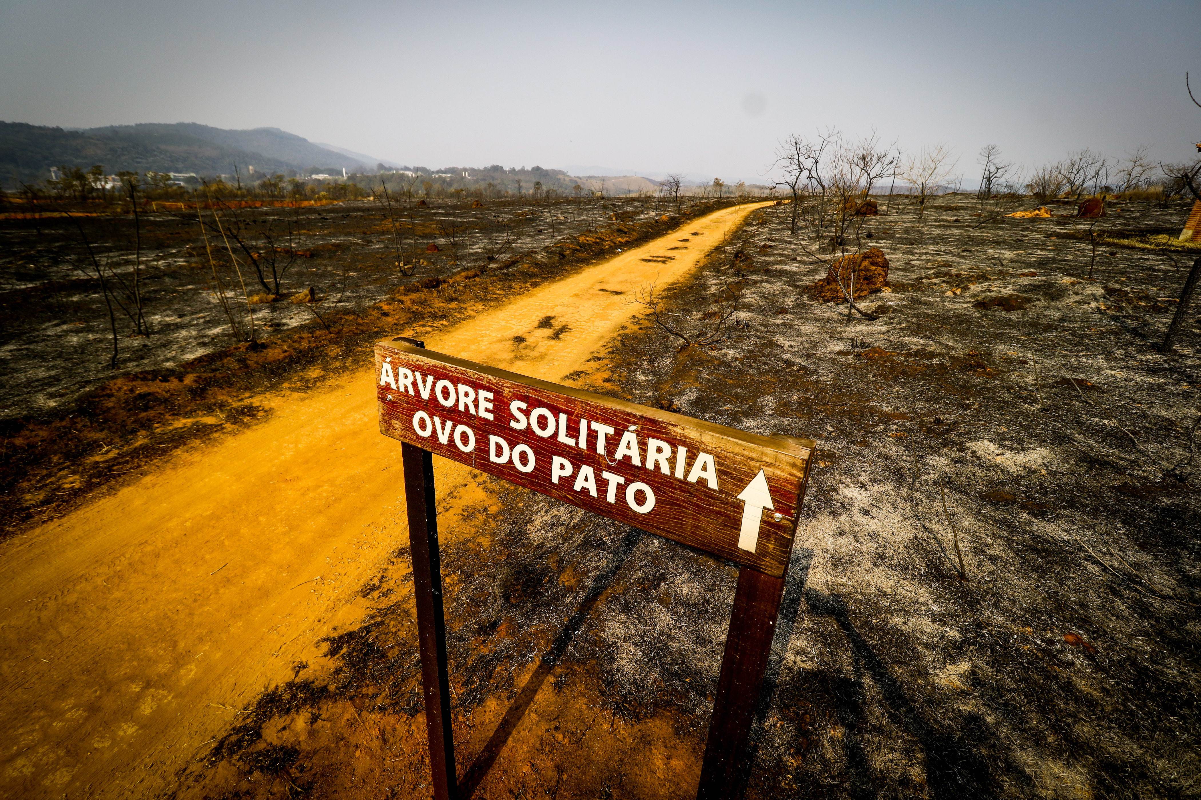 RESCALDO DO INCÊNDIO PARQUE JUQUERY