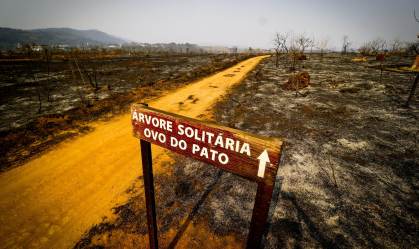 RESCALDO DO INCÊNDIO PARQUE JUQUERY