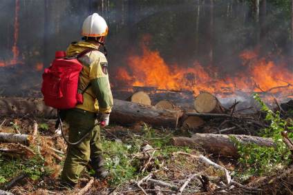 Bombeiro tenta apagar o fogo na taiga russa, em Sakha, na Sibéria