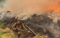 Bombeiro trabalha para conter o fogo em vegetação na Sibéria, Rússia