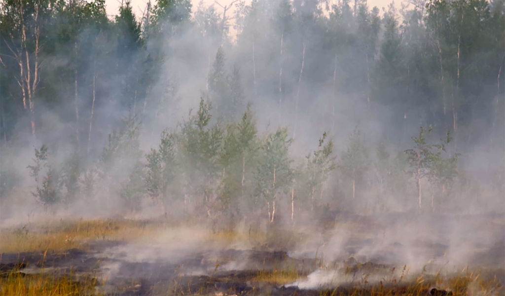Fogo silvestre na região de Yakutia, na Sibéria, conhecida como um dos lugares mais frios do mundo / Avialesookhrana\TASS via Getty Images