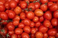 Oferta menor eleva preços do tomate nos principais atacados do país