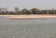 Pantanal reduz em 61% área alegada em um período de 38 anos, indica MapBiomas