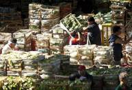 Ministério da Agricultura faz operação contra fraude e apreende mais de 30 mil quilos de alimentos