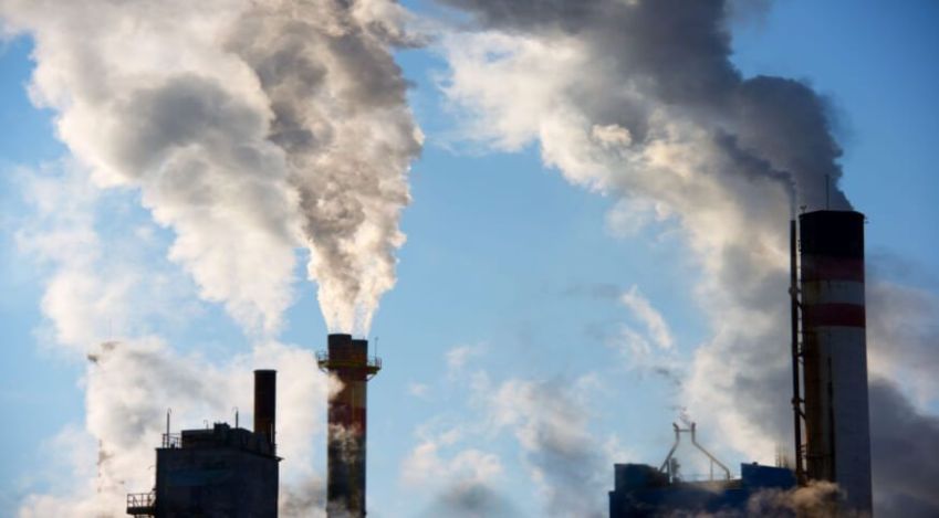 / Quais são os impactos do greenwashing para o meio ambiente?