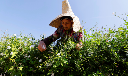 Chanel compra novos campos de jasmim para garantir produção do perfume No. 5
