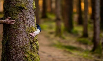 Como o "greenwashing" impacta nos negócios