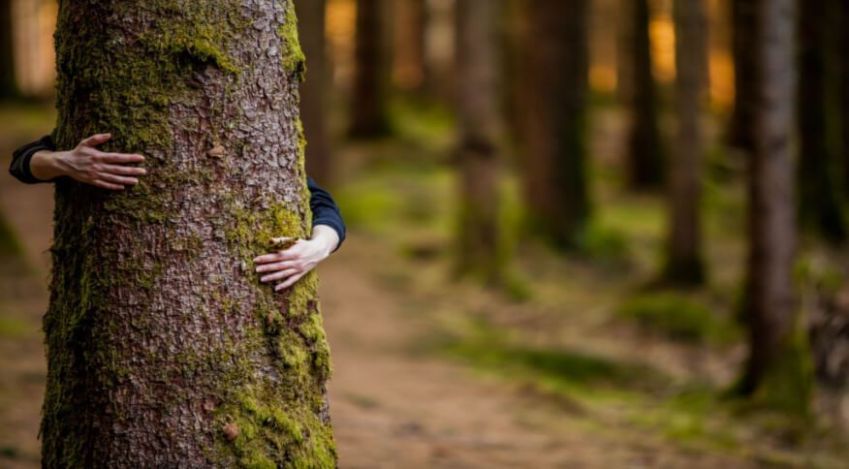 / Quais são os riscos do greenwashing para o mundo?