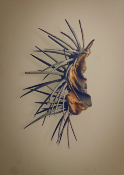 Eriosyce aurata (Sandillon) - Esta semente vem de um cacto encontrado no Chile. “Esse foi selecionado porque tem personalidade visual, com os espinhos protegendo a semente. Você não vê isso em um dia normal”, diz Biss. / The Hidden Beauty of Seeds and Fruits, Copyright Levon Biss 2021