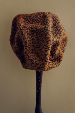 Esta parente próxima da pera comum pode ser encontrada em todo o Himalaia. "Esta é uma fruta seca e acho que uma de suas características mais agradáveis é que ela está ligeiramente enrugada e esfarelada", explica Biss. "Vivemos em um mundo digital onde tudo é bastante clínico, e quando vejo essas texturas e padrões muito suaves e sutis, acho-os bastante atraentes. Este espécime em particular tem lindos tons de terra, e a própria fruta em si é visualmente cativante." / The Hidden Beauty of Seeds and Fruits, Copyright Levon Biss 2021