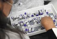 Brasil recebe primeira remessa de lote de 8,9 milhões de doses da Pfizer