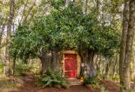 Casa na árvore do Ursinho Pooh poderá ser alugada na Inglaterra; veja fotos