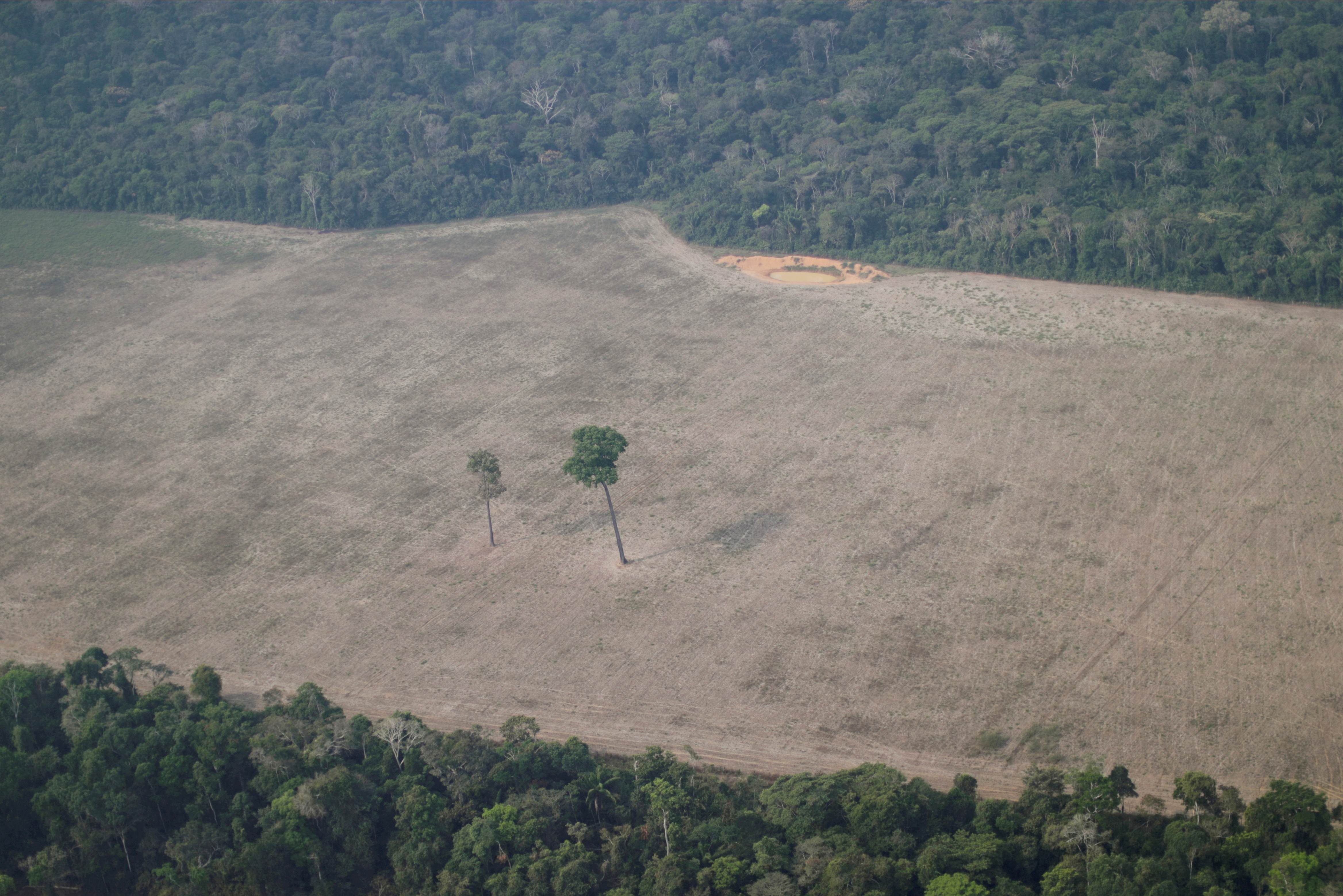 Vista aérea de área desmatada da Amazônia perto de Porto Velho, em Rondônia