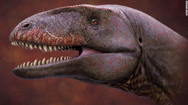 210909080918-02-new-dinosaur-ulughbegsaurus-uzbekistanensis-scn-exlarge-169