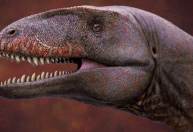 Recém-descoberto, dinossauro com dentes de tubarão foi o T. rex de sua época