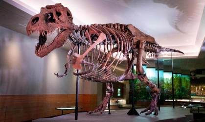 Ancestrais do T. rex usaram ponte terrestre para ir da Ásia à América