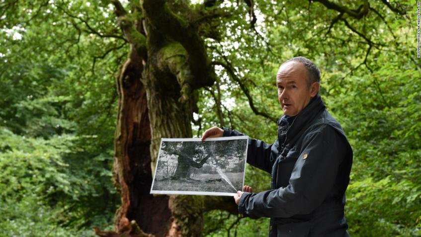 Peter Meyer dentro da floresta primitiva com uma foto tirada há cerca de 100 anos do carvalho que aparece logo atrás dele / Helena Schätzle / CNN