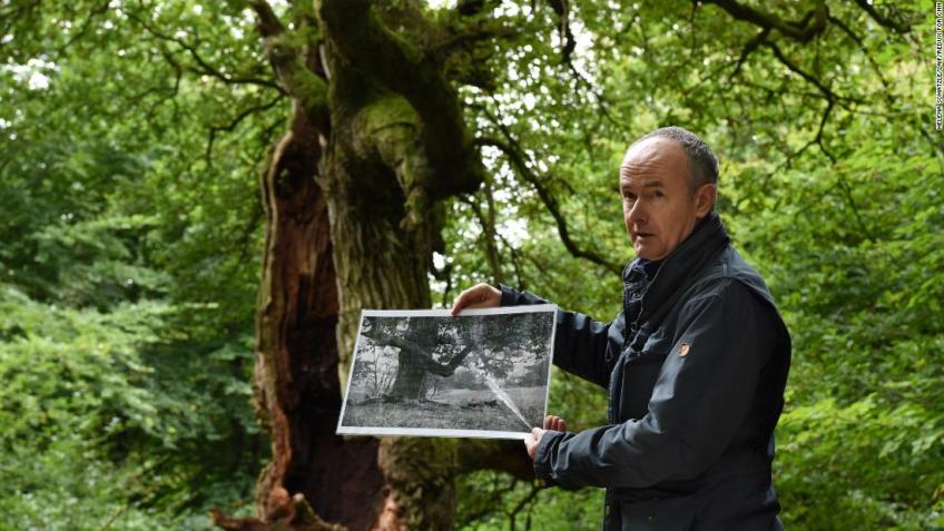 Peter Meyer dentro da floresta primitiva com uma foto tirada há cerca de 100 anos do carvalho que aparece logo atrás dele / Helena Schätzle / CNN