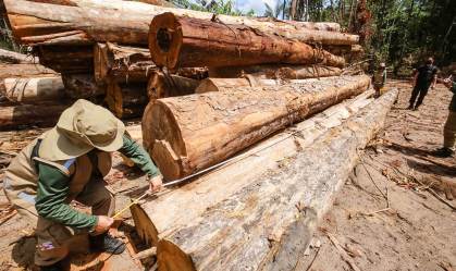 Desmatamento na Amazônia em agosto é o pior em dez anos