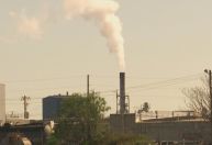 Recursos são insuficientes, diz especialista sobre diminuir carbono na economia