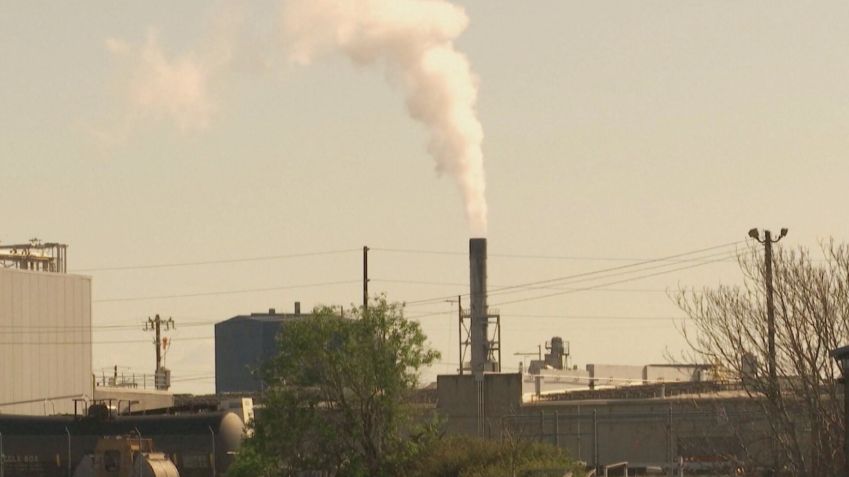 O Brasil tem a capacidade de ofertar créditos de carbono (27.set.2021) / Reprodução / CNN
