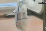 Criança isolada sozinha em hospital mostra custo da política de Covid zero na China