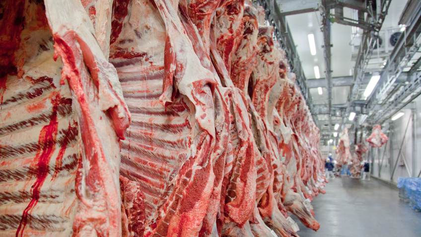 Carne bovina está impedida de entrar na China há mais de dois meses / Divulgação/Abiec (12.ago.2011)