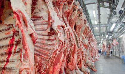 Exportação de carne bovina do Brasil cresce 4% com ajuda dos EUA, diz associação