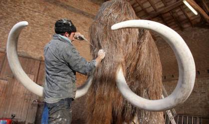 Cientistas avançam no plano de ressuscitar espécie de mamute extinta