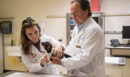 Oklahoma State University-2