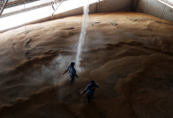 BrasilAgro tem salto no lucro em 2020/21 e prevê boa rentabilidade na nova safra