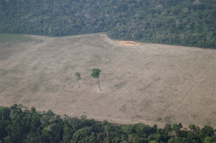 Vista aérea de área desmatada da Amazônia