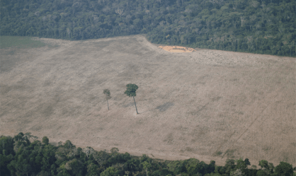 Vista aérea de área desmatada da Amazônia