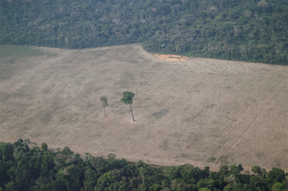 Vista aérea de área desmatada da Amazônia