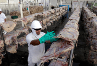 Veto dos EUA à carne do Brasil teria efeito limitado, dizem especialistas