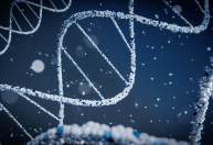Cientistas sequenciam o genoma humano completo pela primeira vez