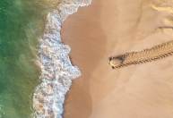 Humanos alteraram tanto a Terra que animais migratórios têm risco de extinção