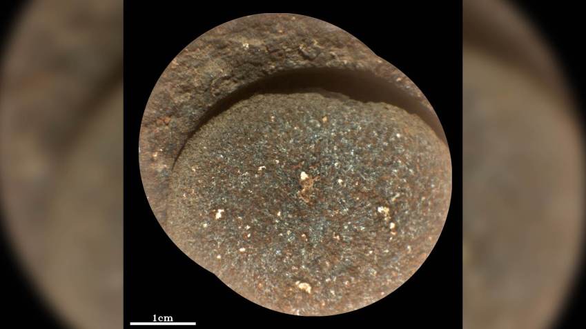 Manchas brancas são visíveis nesta imagem que mostra onde a Perseverance usou sua ferramenta de abrasão para retificar a rocha antes de perfurar / IRAP/CNES/LANL/JPL-Caltech/Nasa