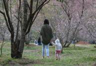 O que é o equinócio de primavera e como a estação afeta a sua saúde