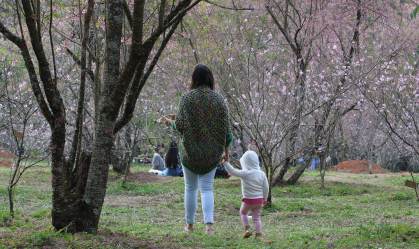 O que é o equinócio de primavera e como a estação afeta a sua saúde