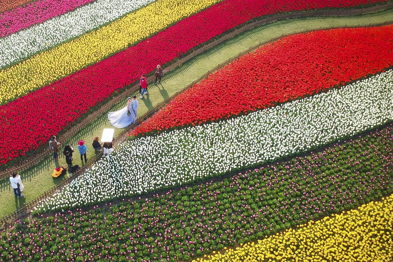 Wujiang Zhu, da China, ficou em segundo lugar na categoria Casamento com esta imagem de um casal recém-casado em um jardim em Dafeng, Jiangsu / Prêmio Wujiang Zhu / Drone de 2021