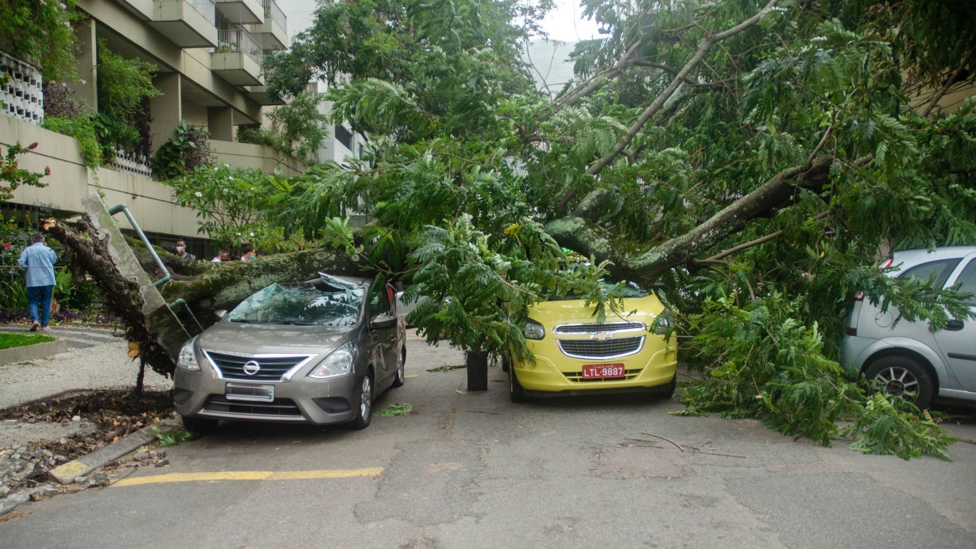 Árvores caíram por causa dos fortes ventos na zona sul carioca
