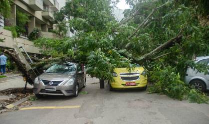 Árvores caíram por causa dos fortes ventos na zona sul carioca