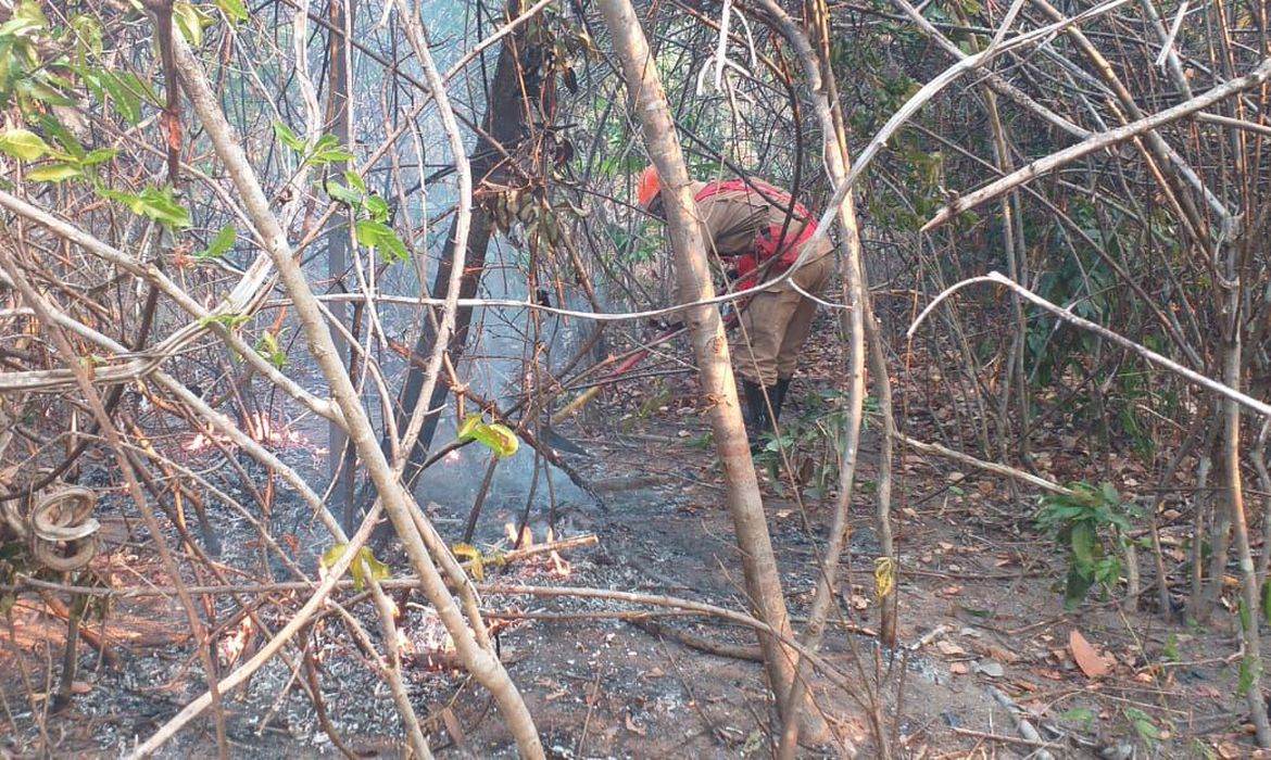 Bombeiro trabalha em incêndio que atingiu região da Chapada dos Veadeiros