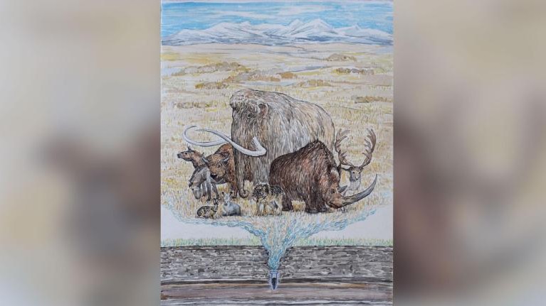 211021071633-restricted-03-mammoth-steppe-dna-scn-exlarge-169 (1)